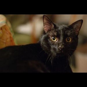 Meet your Posher, Deb